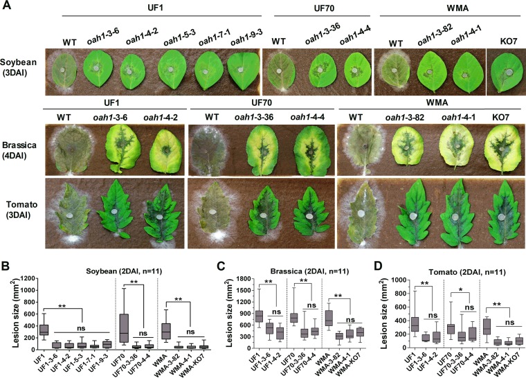 FIG 6 