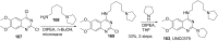 Scheme 12