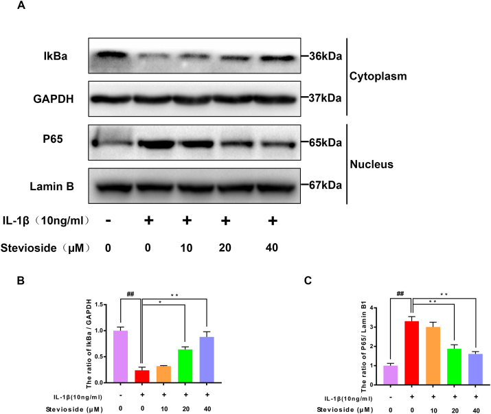 Figure 4