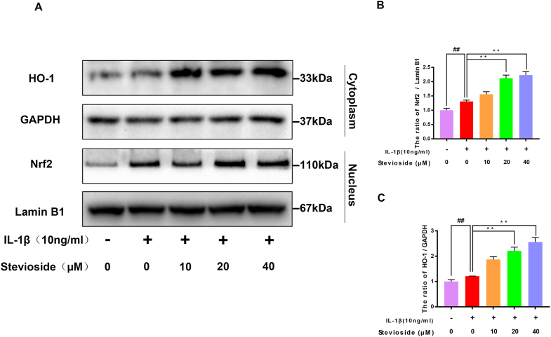 Figure 5