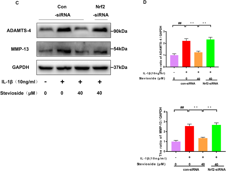 Figure 6