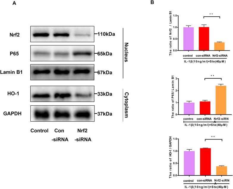 Figure 6