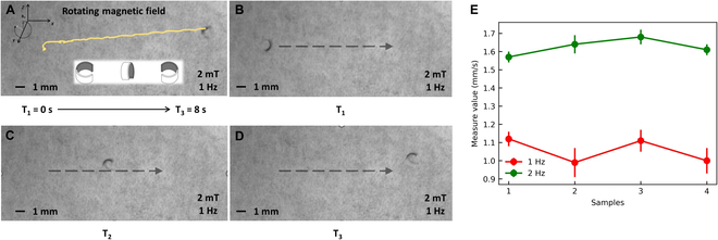 Fig. 10.