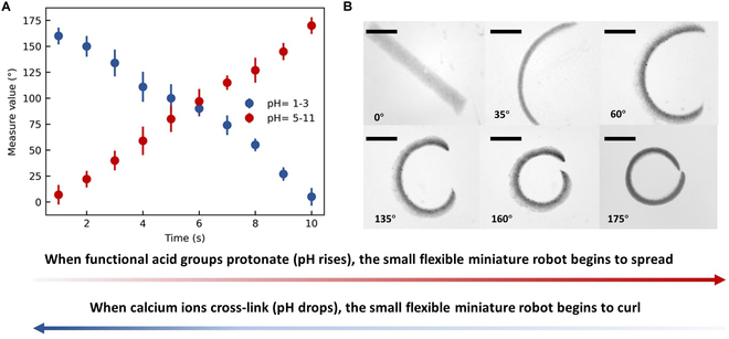 Fig. 6.