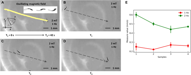 Fig. 9.