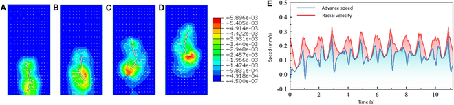 Fig. 7.