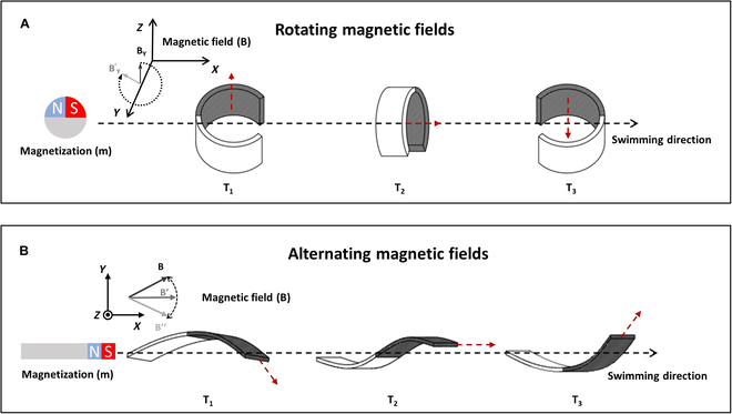 Fig. 4.