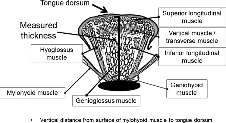 Fig. 3