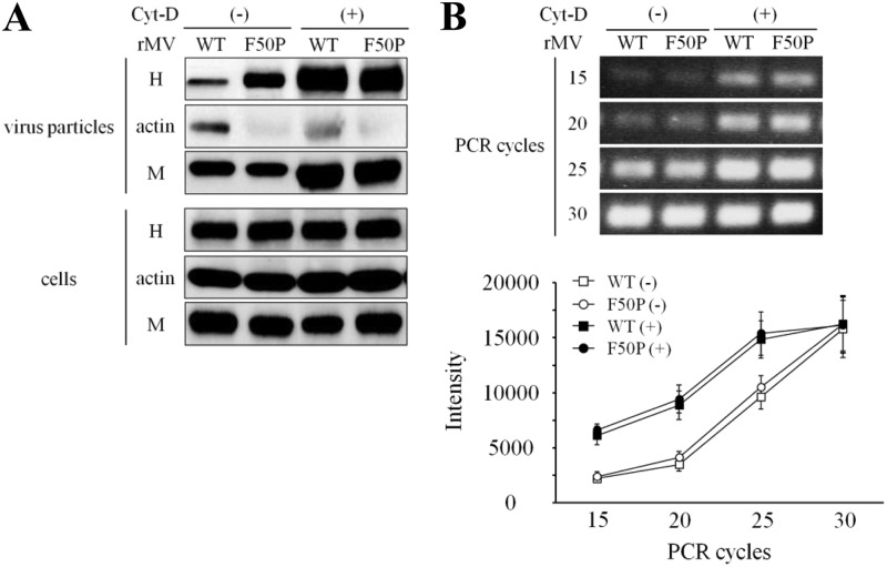 Fig 8