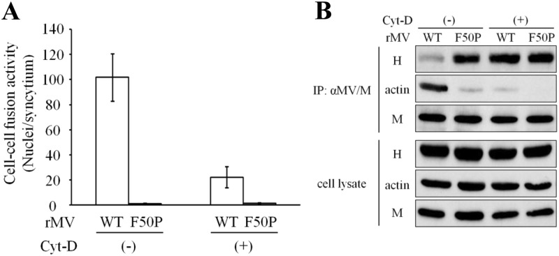 Fig 7