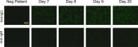 Extended Data Fig. 1