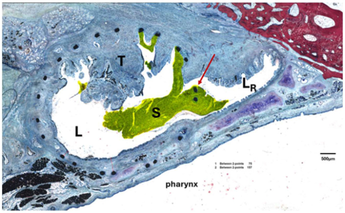 Figure 10