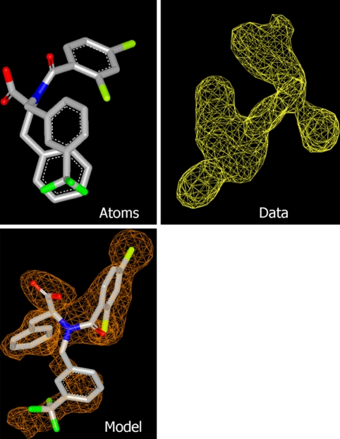 Fig. 1