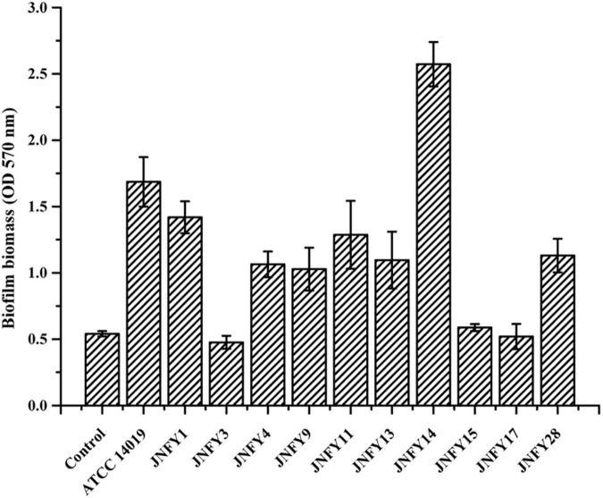 FIGURE 2