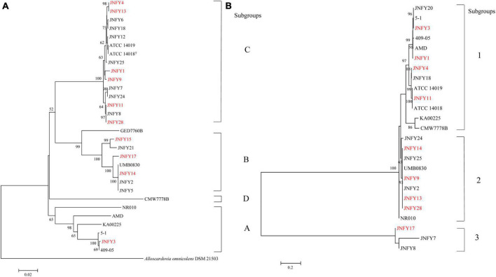 FIGURE 1