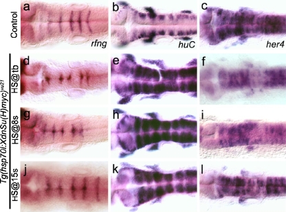 Fig. 4