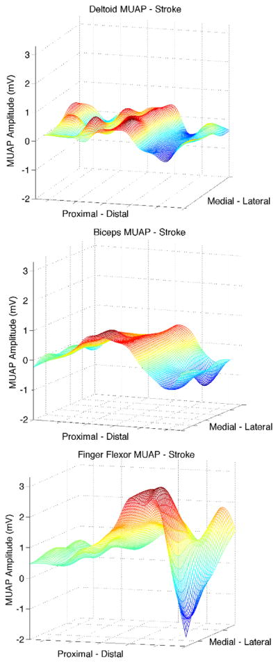 Fig. 2