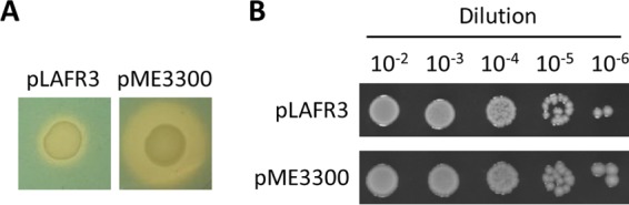 FIG 9