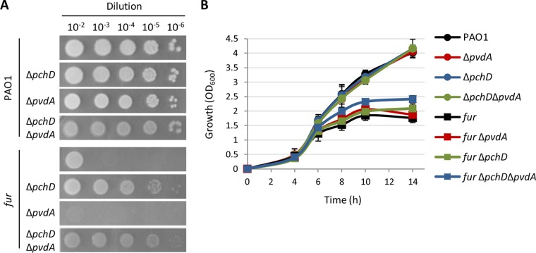 FIG 6