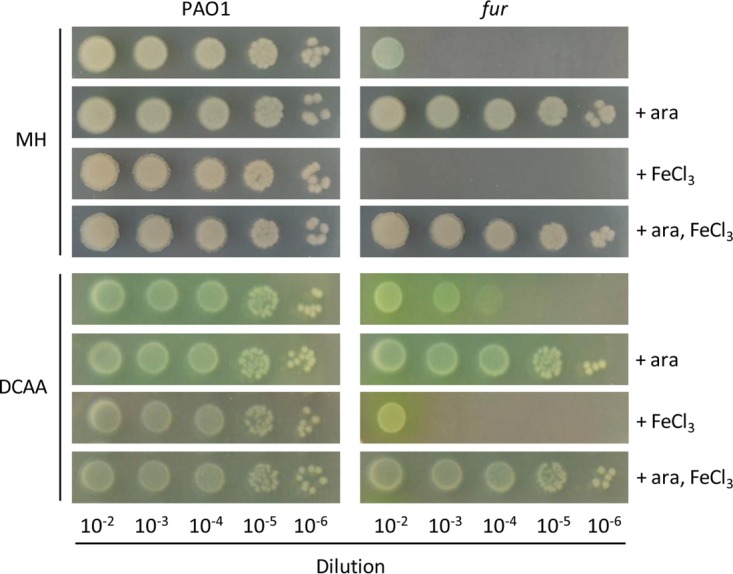 FIG 3