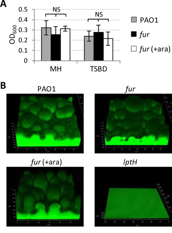 FIG 4