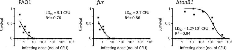 FIG 5