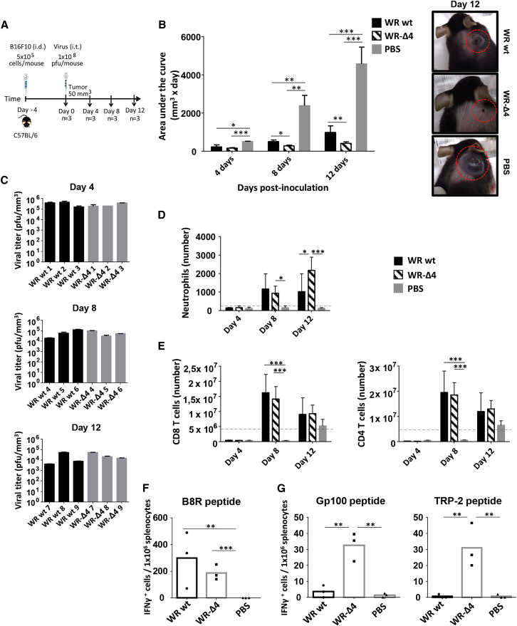 Figure 7