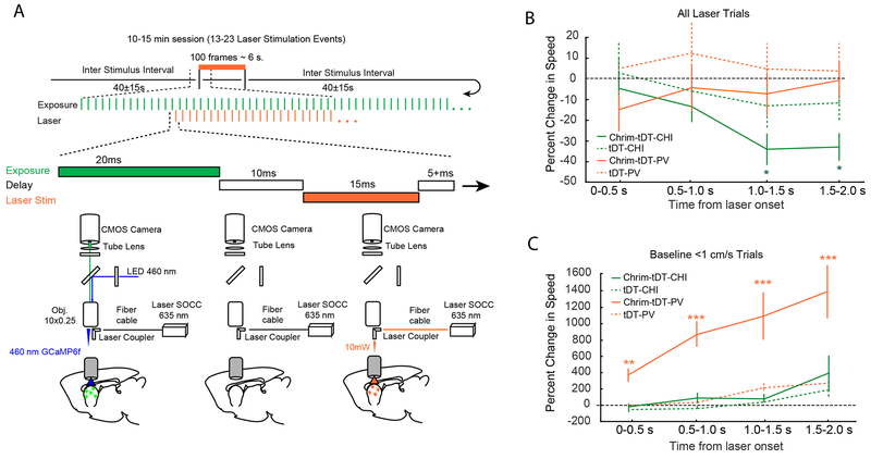 Figure 3: