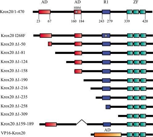 FIGURE 1.