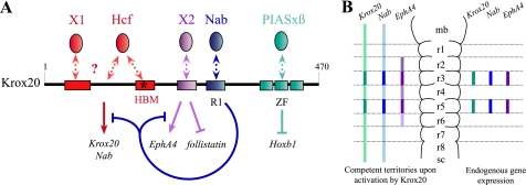 FIGURE 7.