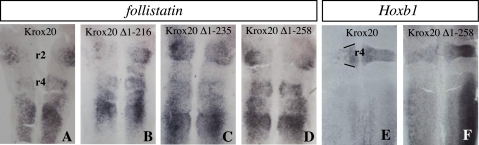 FIGURE 4.