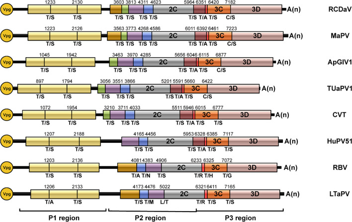 FIGURE 9