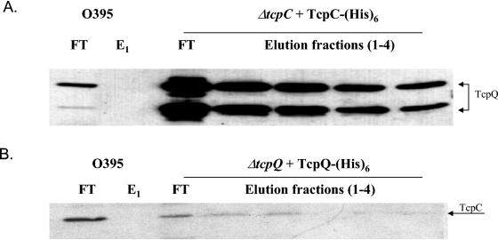 FIG. 5.