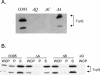 FIG. 2.