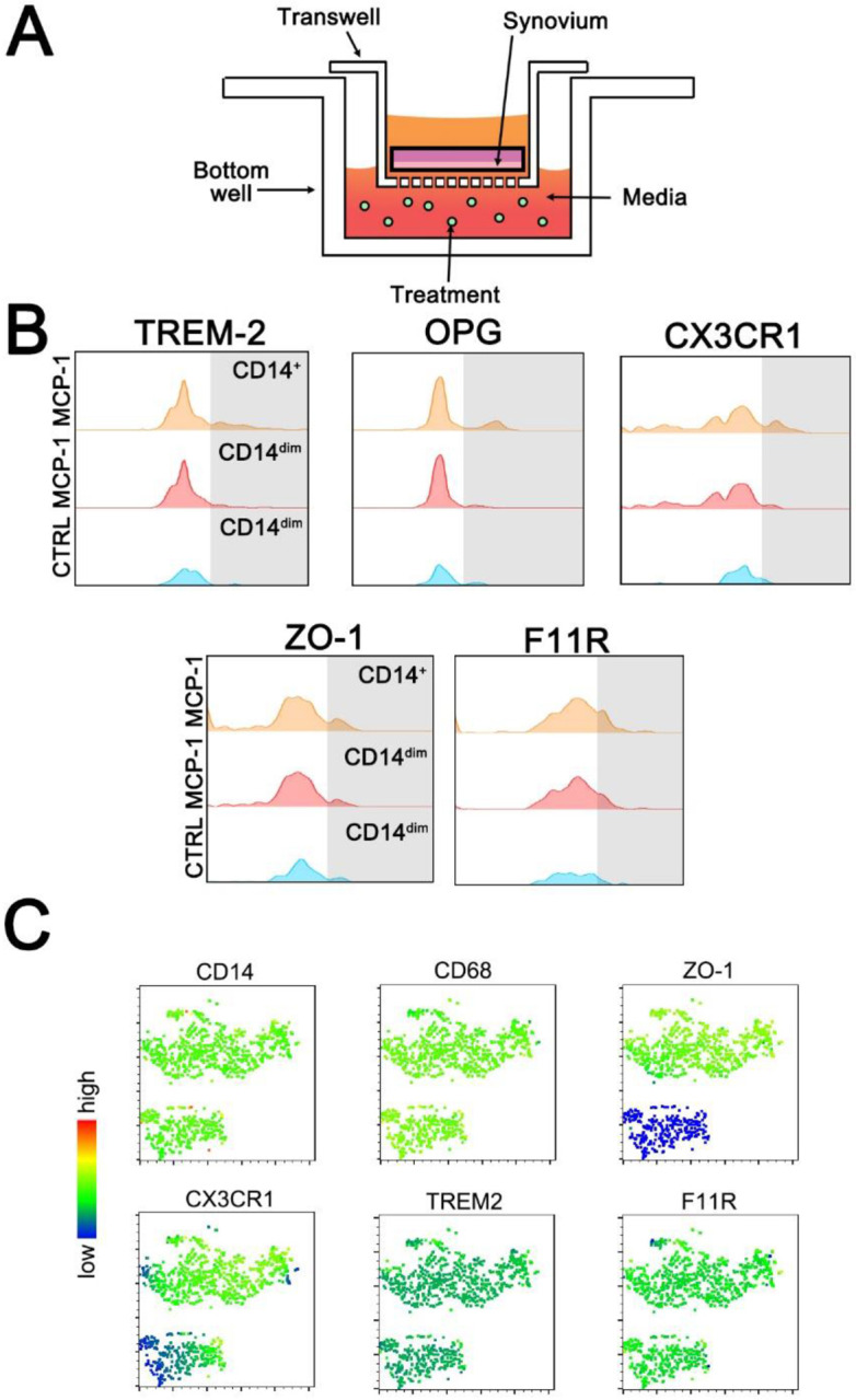 Figure 2: