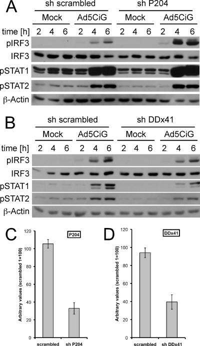 Fig 7