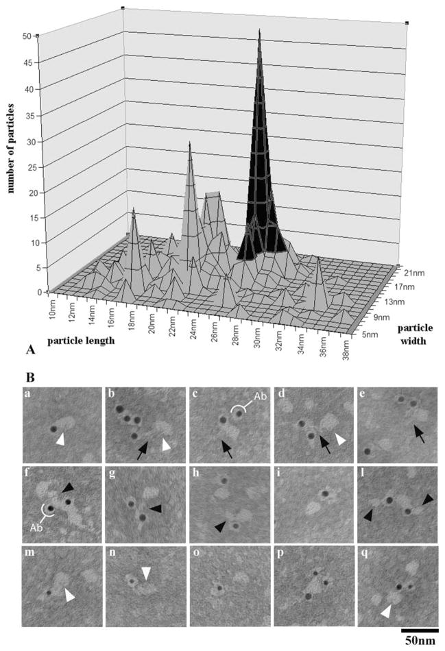 Fig. 9