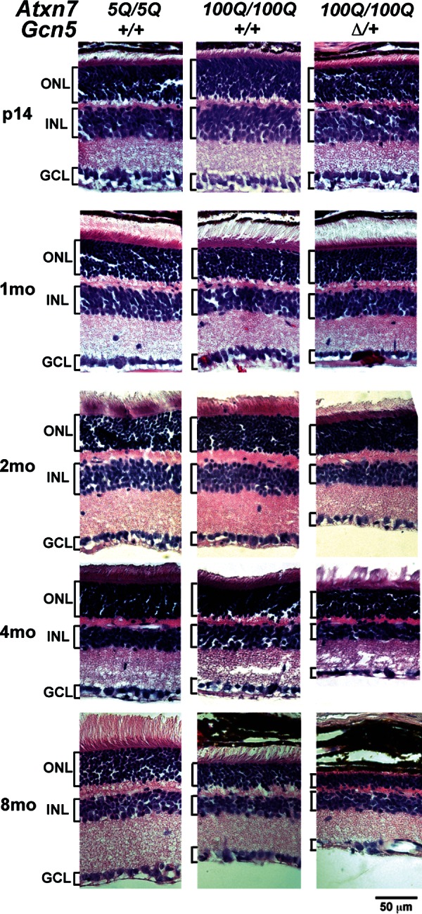 Figure 5.