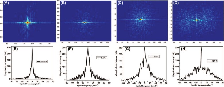 Figure 2: