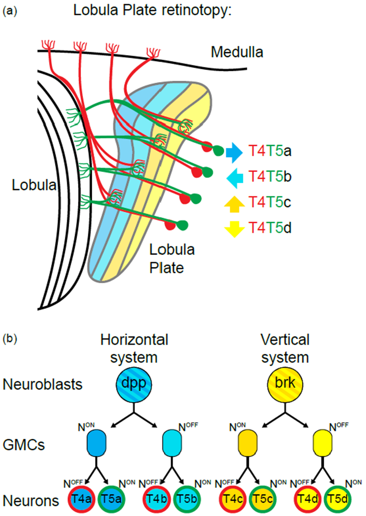 Figure 4: