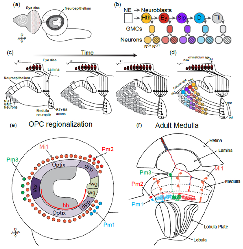 Figure 3: