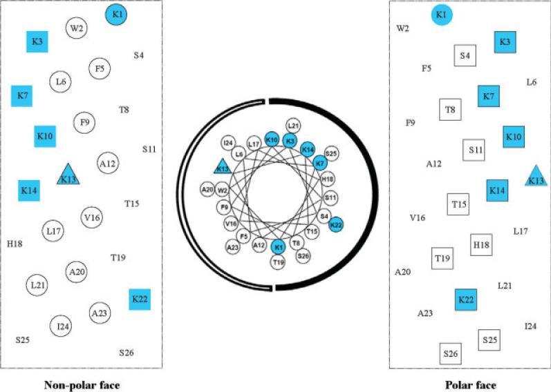 FIGURE 1