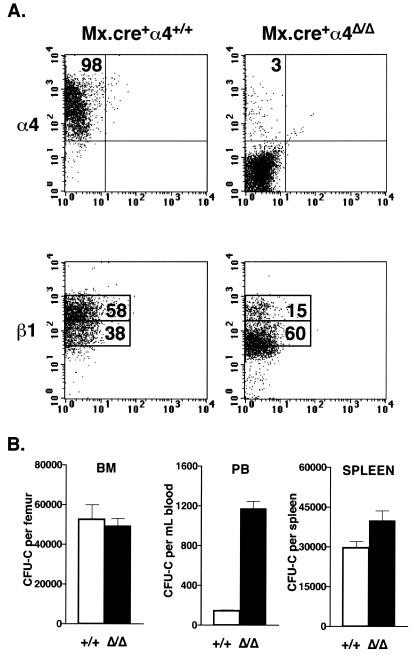 FIG. 2.