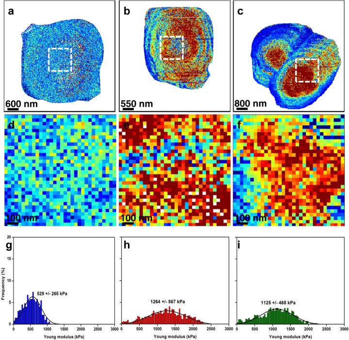 Fig 3