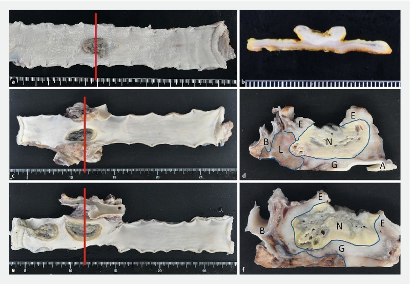 Fig. 3