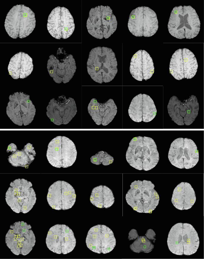 Fig. 5