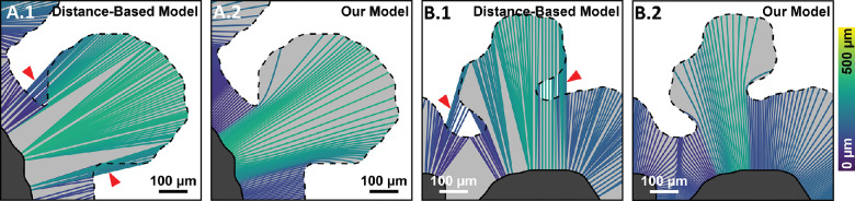 Figure 11.