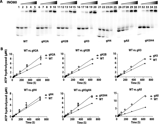 FIG. 7.