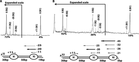 FIG. 6.