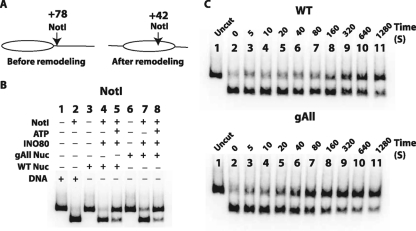 FIG. 9.